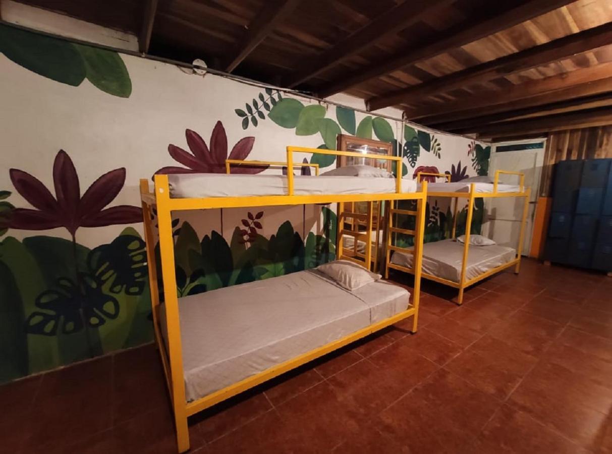 Madre Selva Auberge de jeunesse