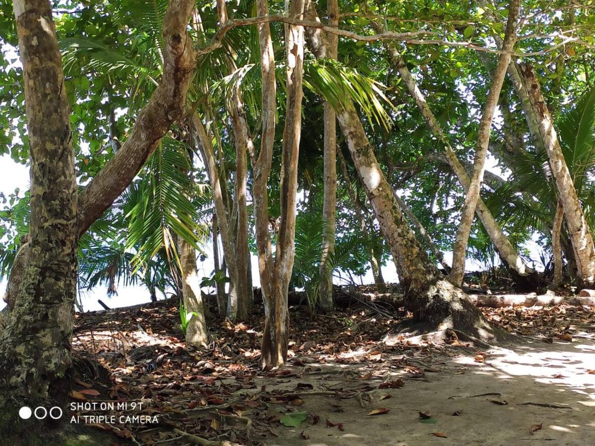 Madre Selva * Puerto Viejo de Talamanca