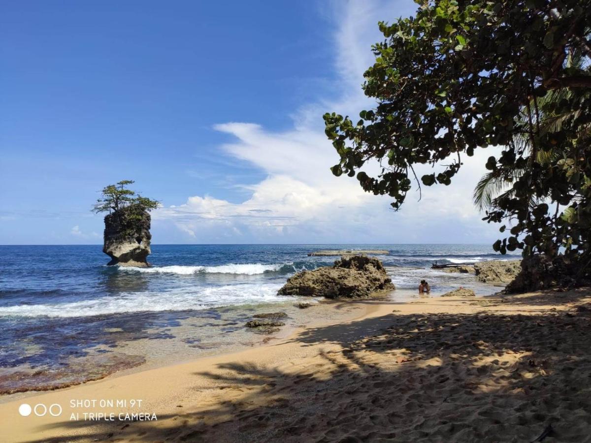 Madre Selva * Puerto Viejo de Talamanca