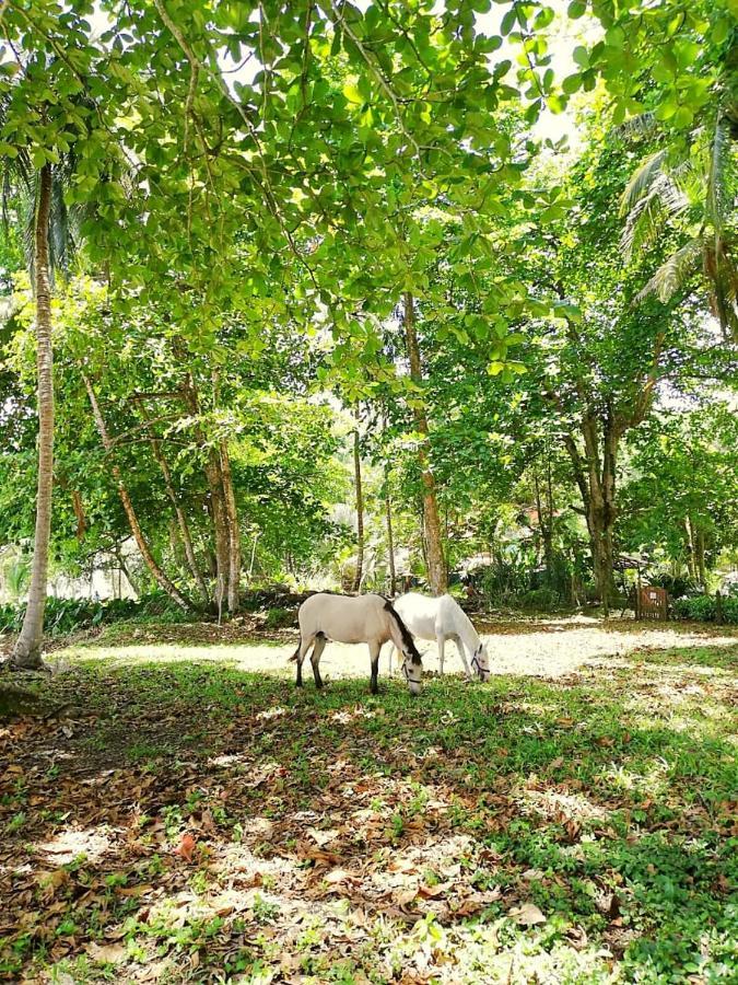 Auberge de jeunesse Madre Selva
