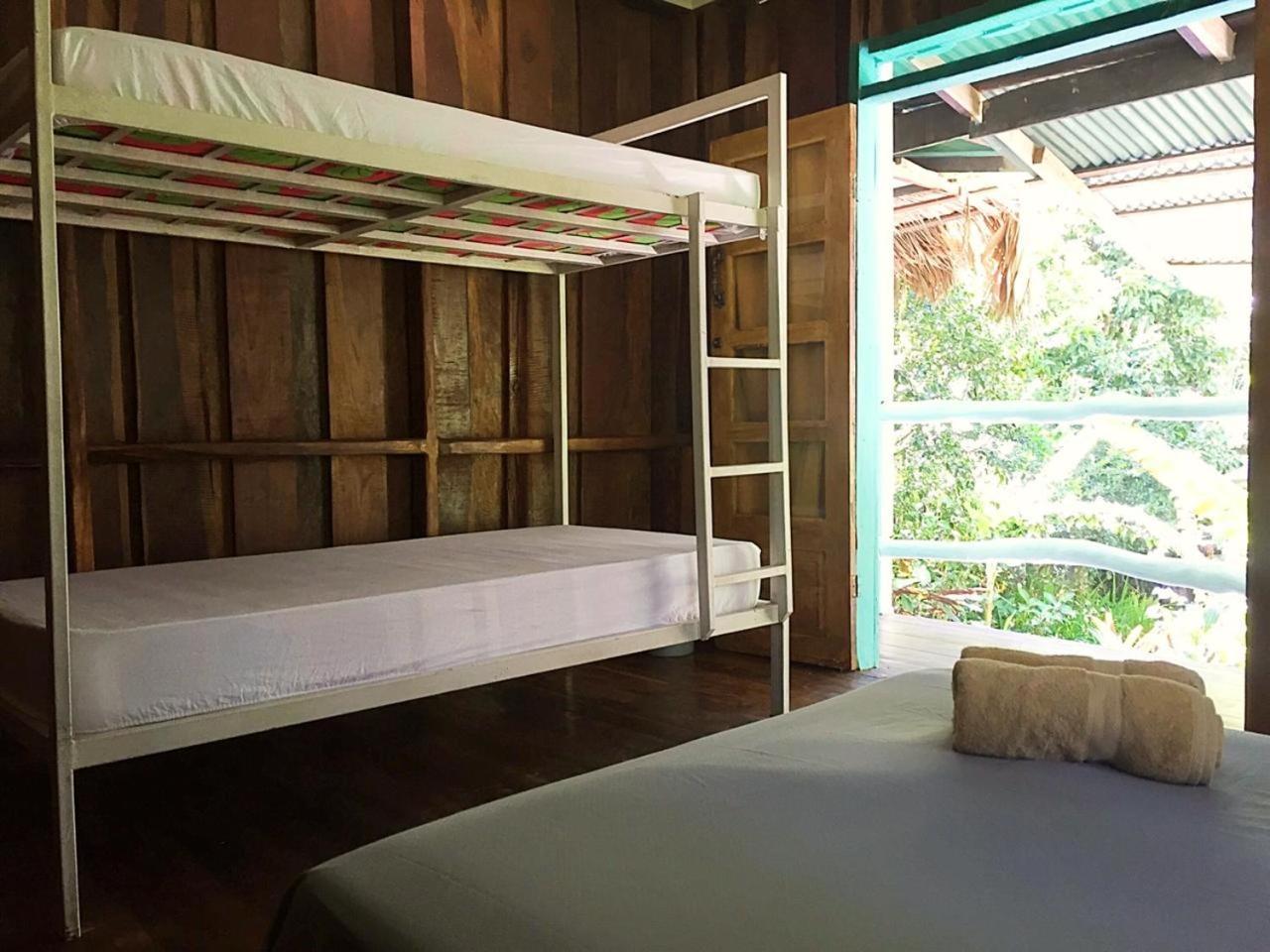 Madre Selva Auberge de jeunesse