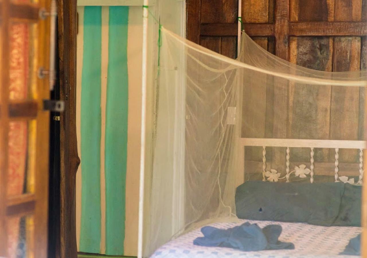 Madre Selva Auberge de jeunesse *