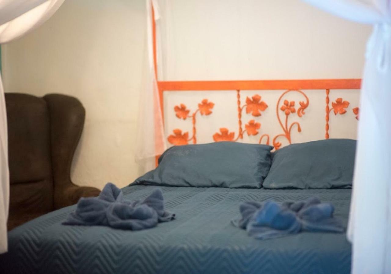 Auberge de jeunesse Madre Selva *